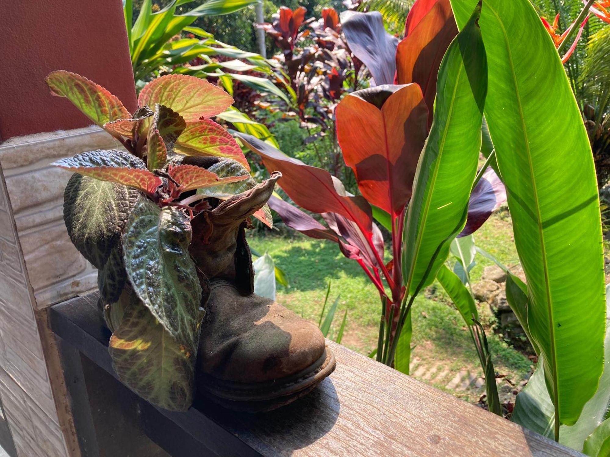 Casa Arariba - Ilha Grande - Vila Do Abraao Bagian luar foto