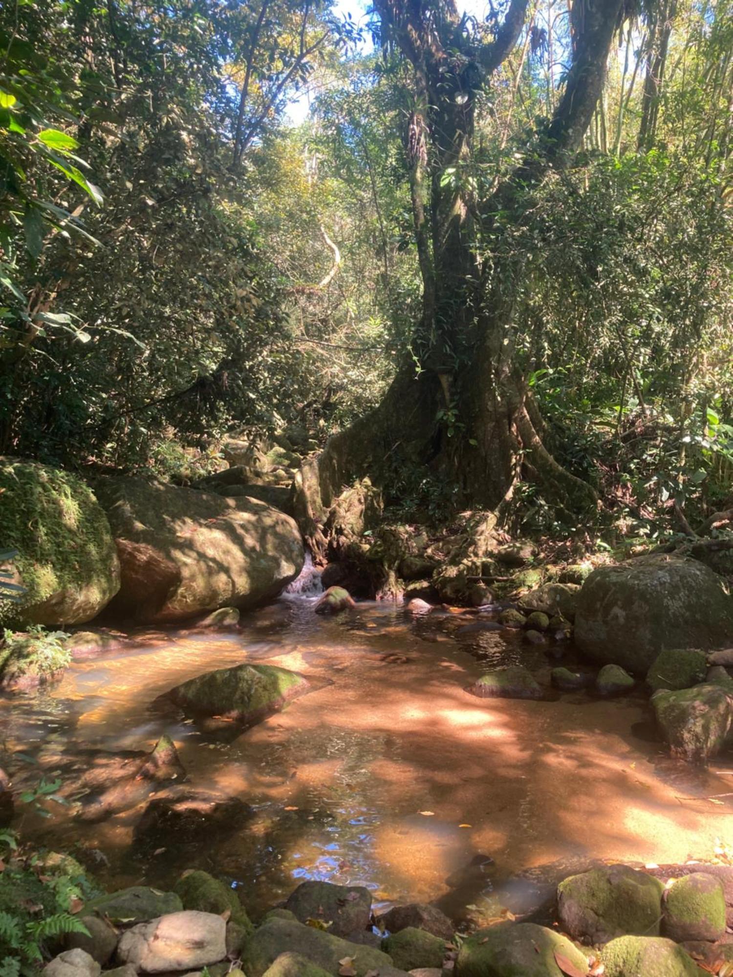 Casa Arariba - Ilha Grande - Vila Do Abraao Bagian luar foto